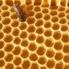 yellow blocks of beeswax for sale